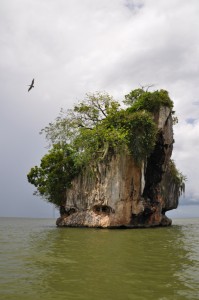samana